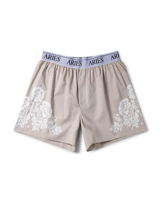 Illustrative example of aries underwear