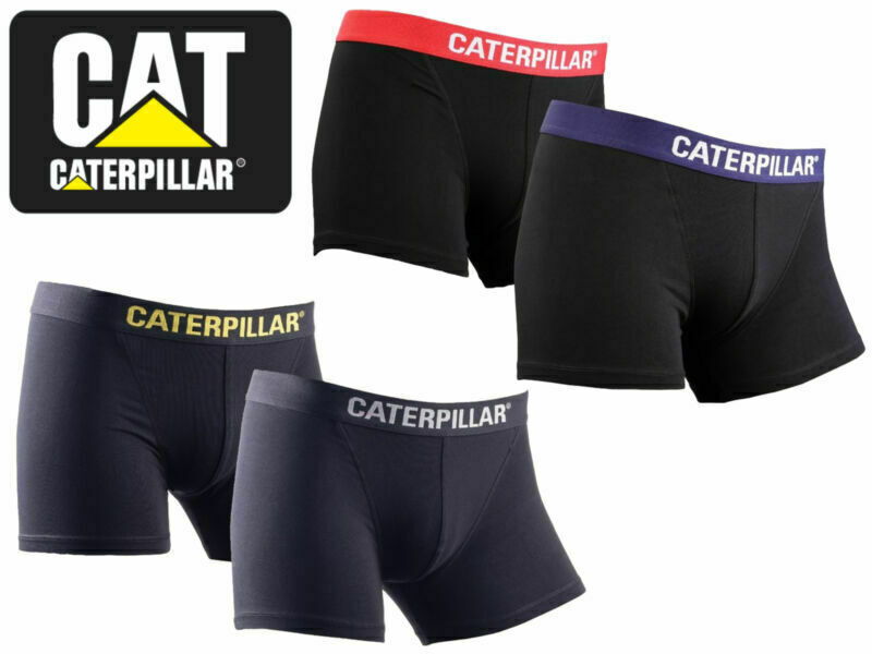 Illustrative example of caterpillar underwear