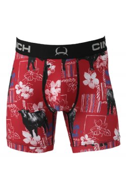 Illustrative example of cinch underwear