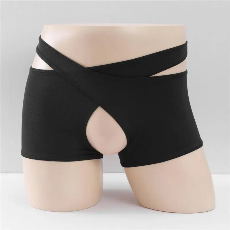 Illustrative example of crotchless underwear male