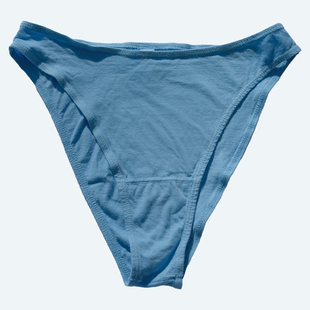 Illustrative example of french cut cotton underwear