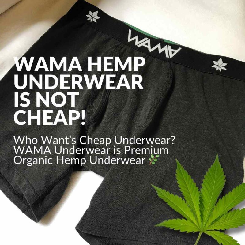 Illustrative example of hemp underwear