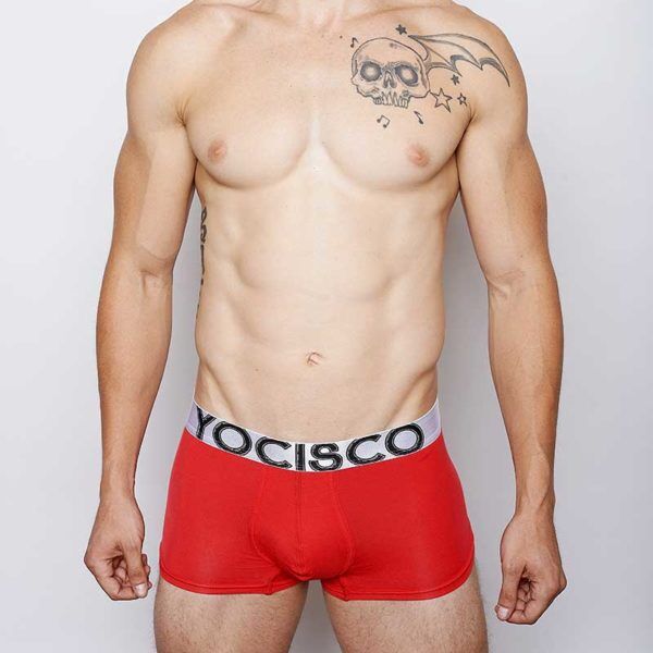 Illustrative example of https://yocisco. underwear
