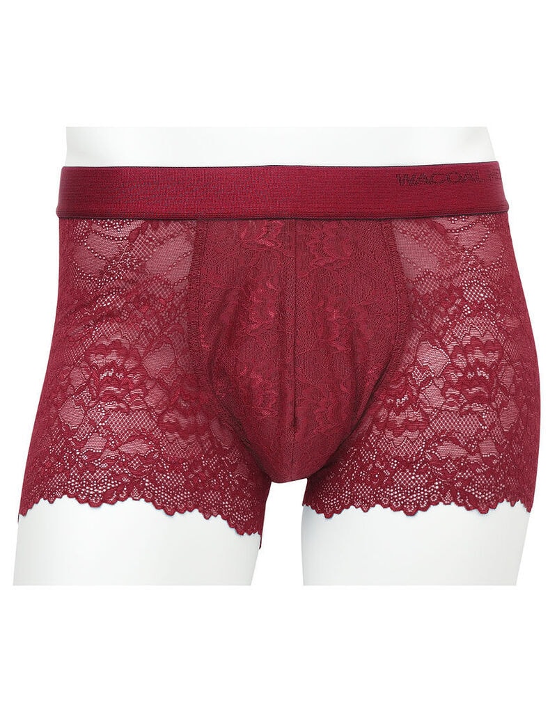 Illustrative example of lace boxer underwear