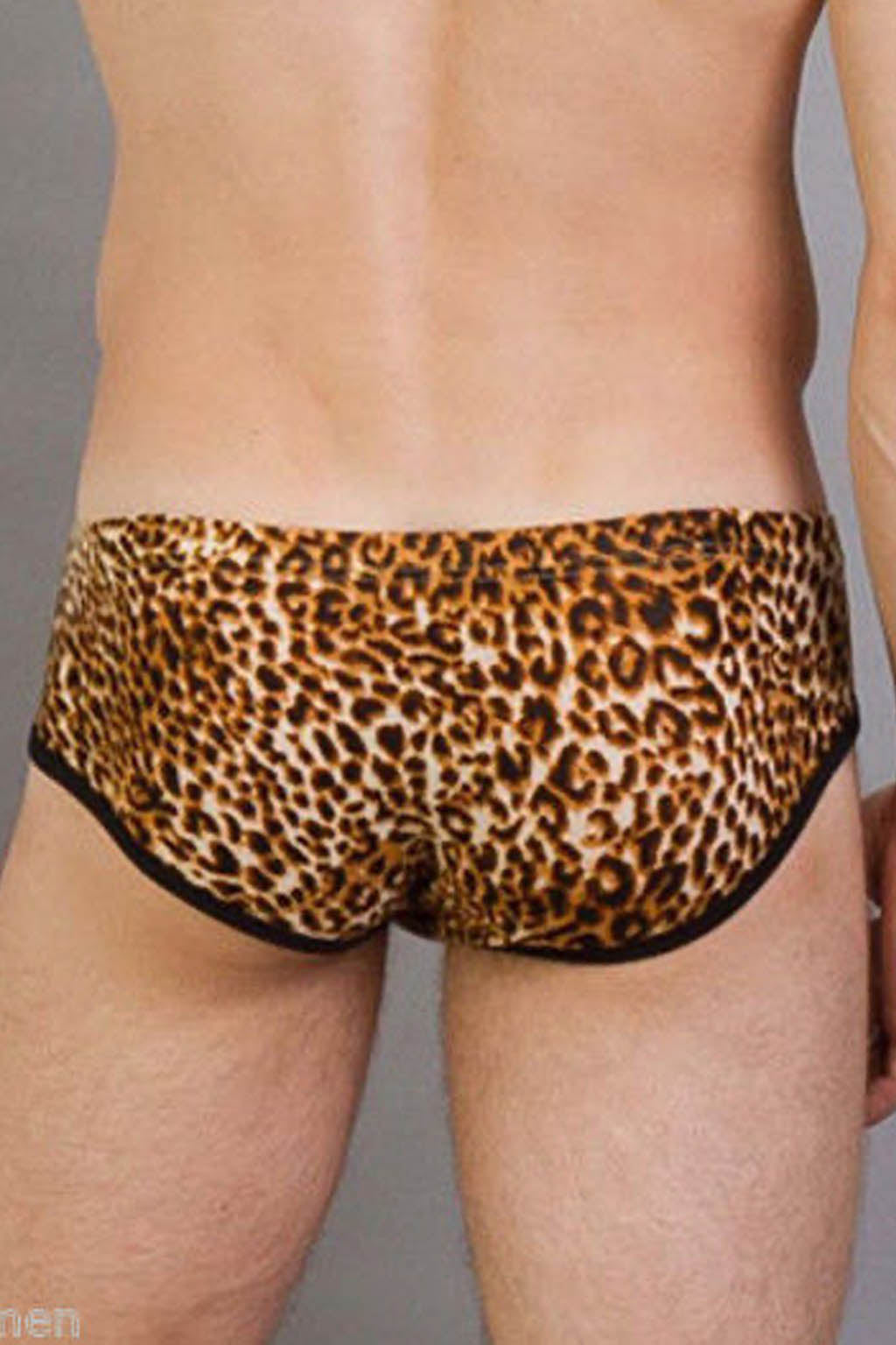 Illustrative example of leopard print male underwear