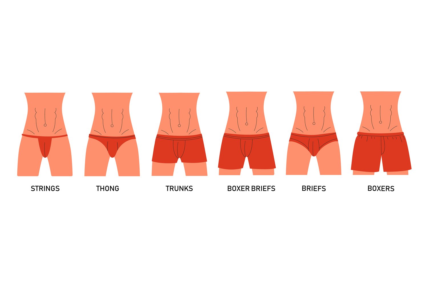 Illustrative example of male underwear types