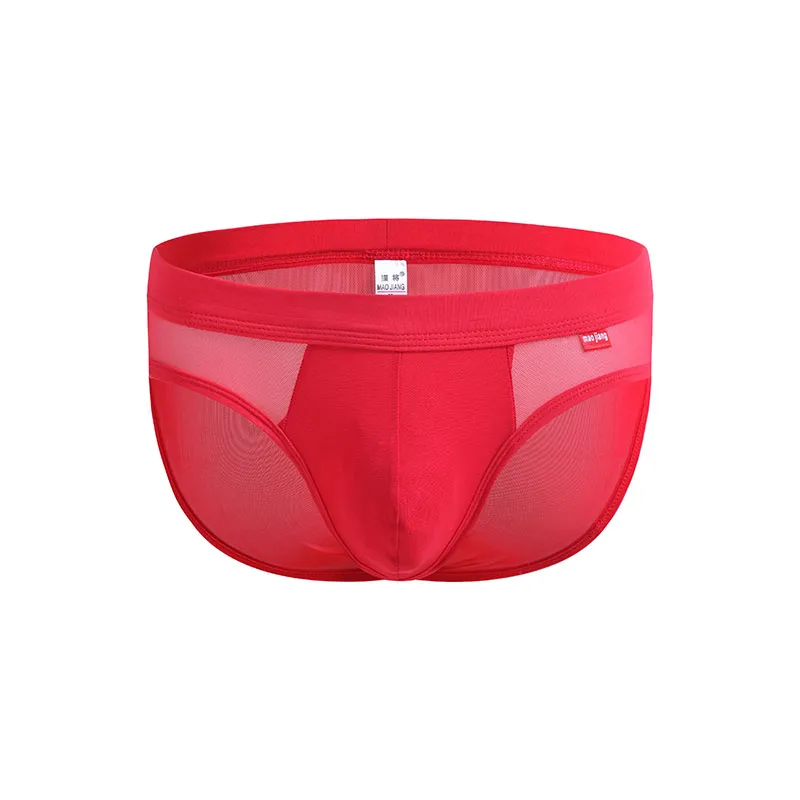 Illustrative example of mens bikini underwear with pouch