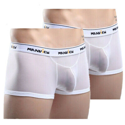 Illustrative example of mens sheer underwear