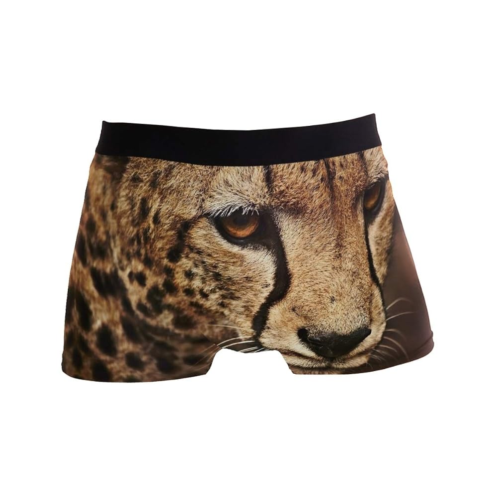 Illustrative example of mens underwear leopard print