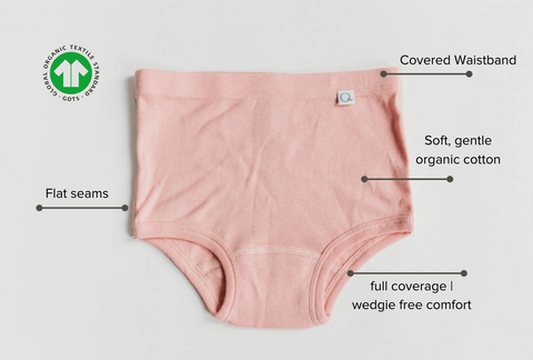 Illustrative example of organic cotton toddler underwear