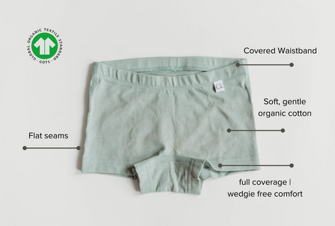 Illustrative example of organic cotton toddler underwear