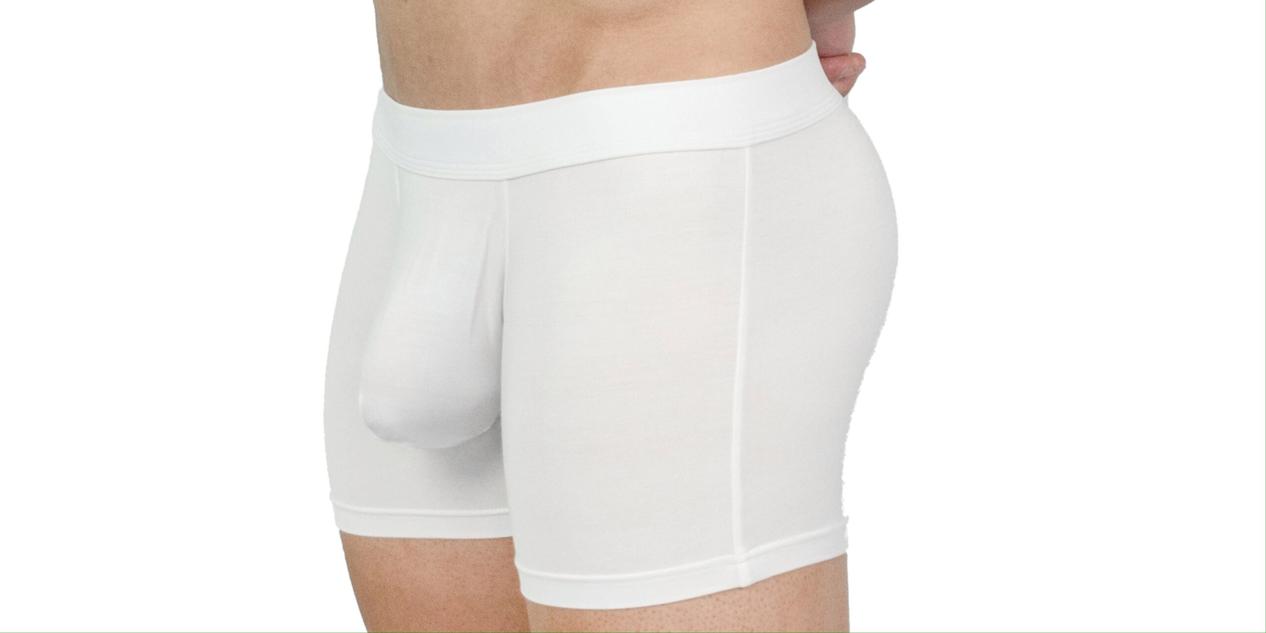 Illustrative example of tighty whities underwear
