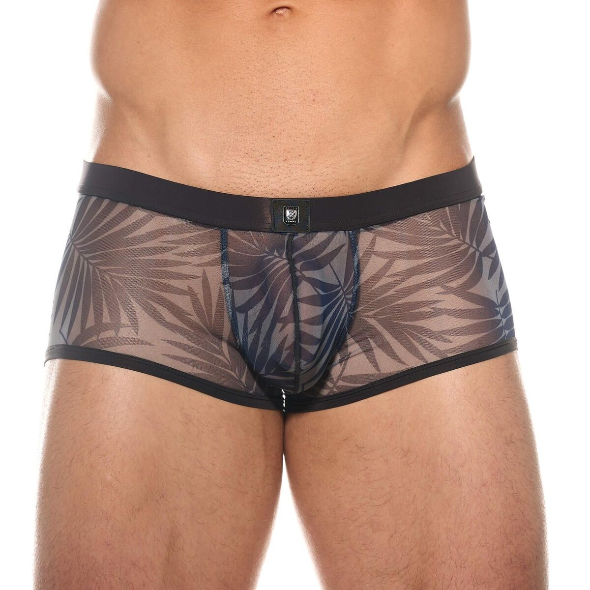 Illustrative example of underwear mesh men