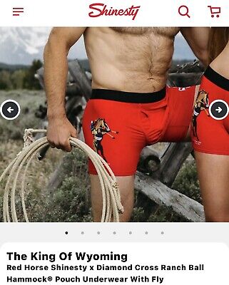 Illustrative example of underwear with ball hammock