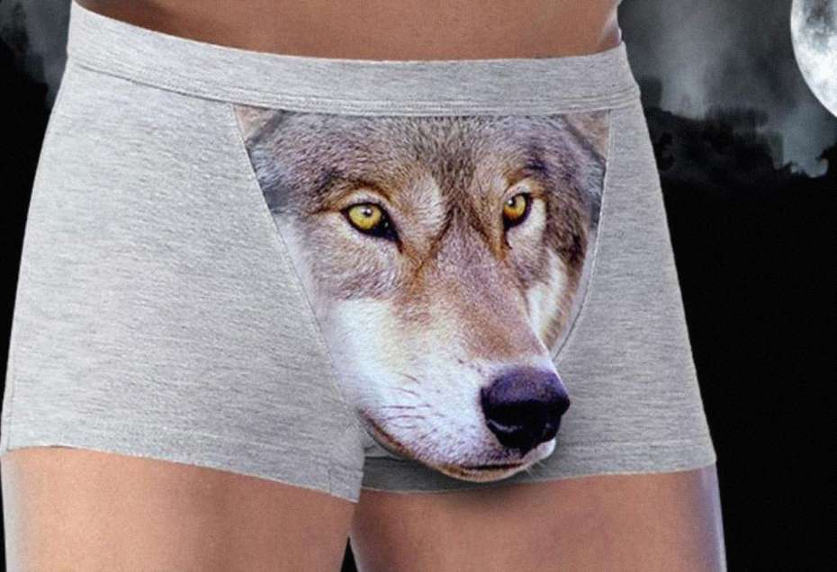 Illustrative example of wolf underwear